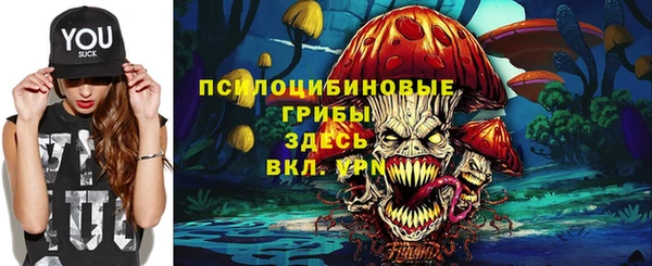 крисы Анжеро-Судженск
