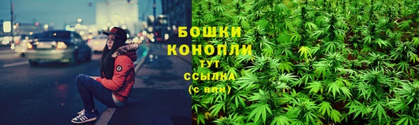 крисы Анжеро-Судженск