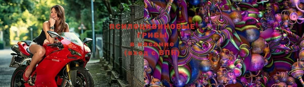 хмурый Михайлов