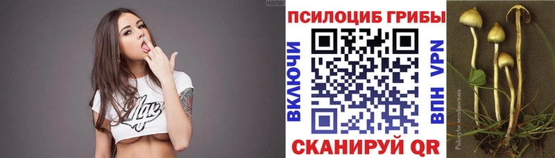 Псилоцибиновые грибы прущие грибы Заозёрск